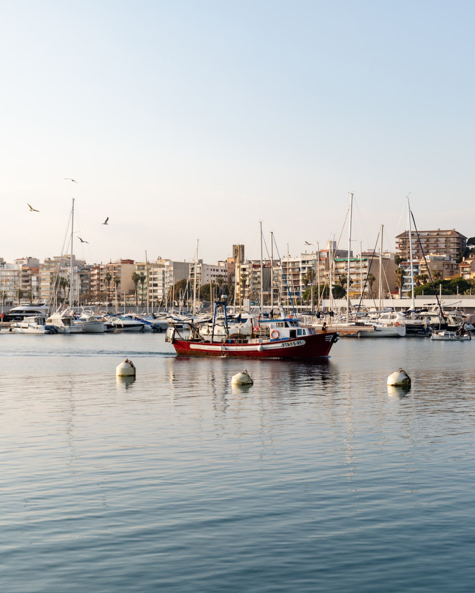 Confraries de Girona