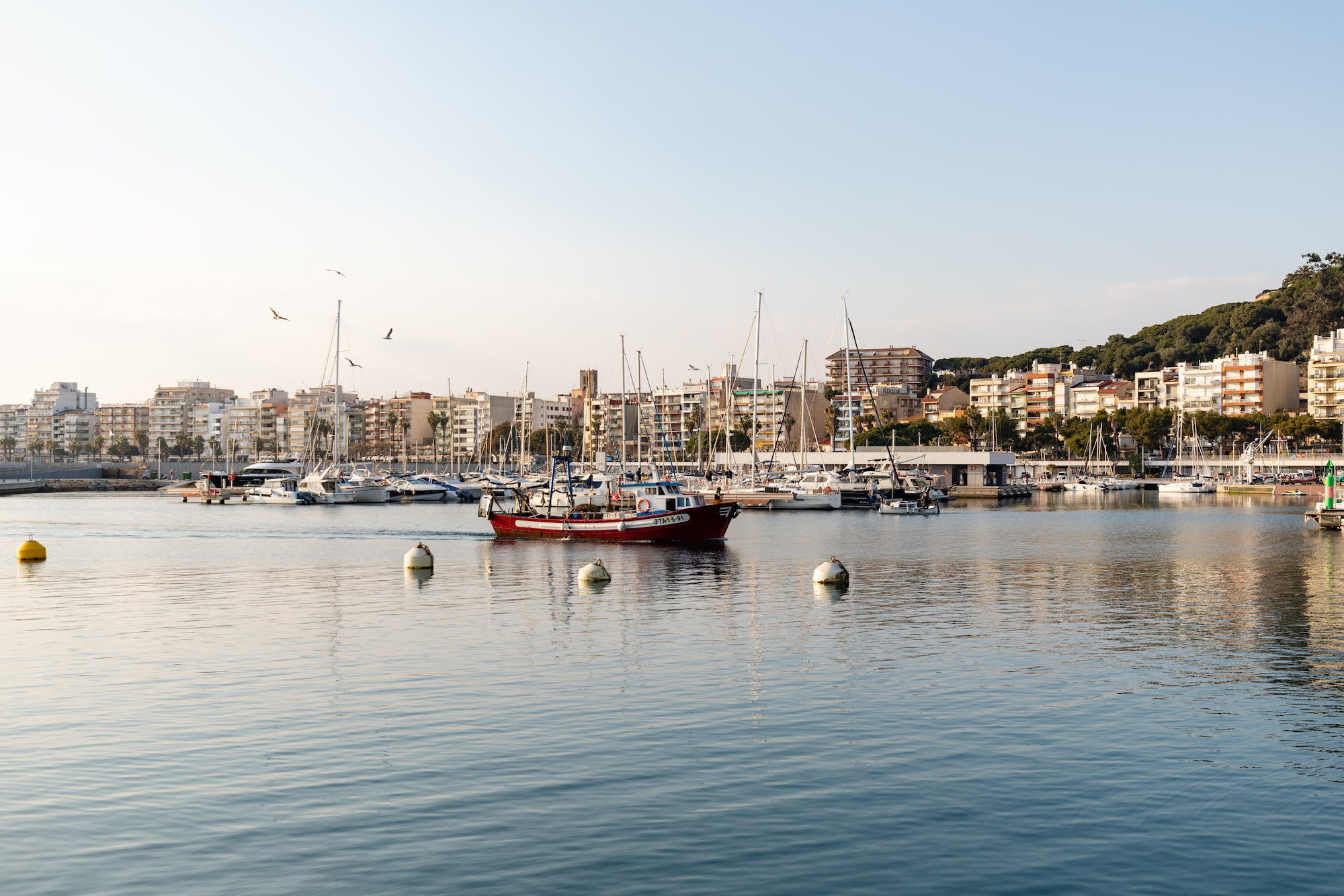 Confraries de Girona